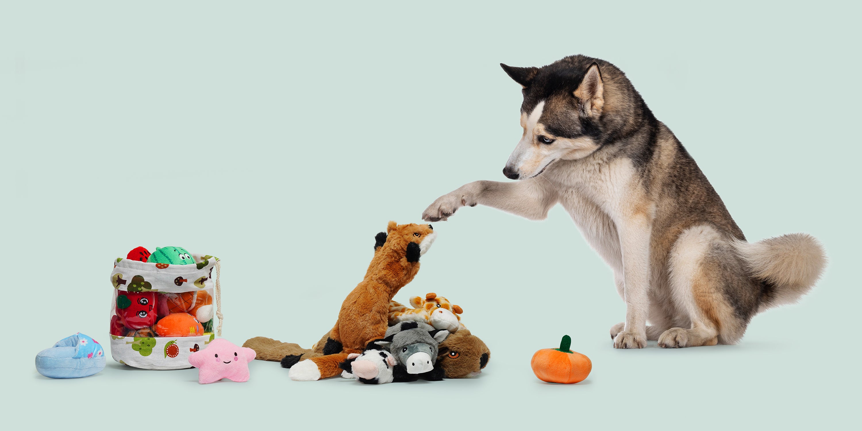 What Is the Science Behind Dog Toys?