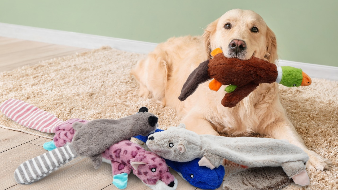 Keeping Your Dog Happy While You're Away at Work