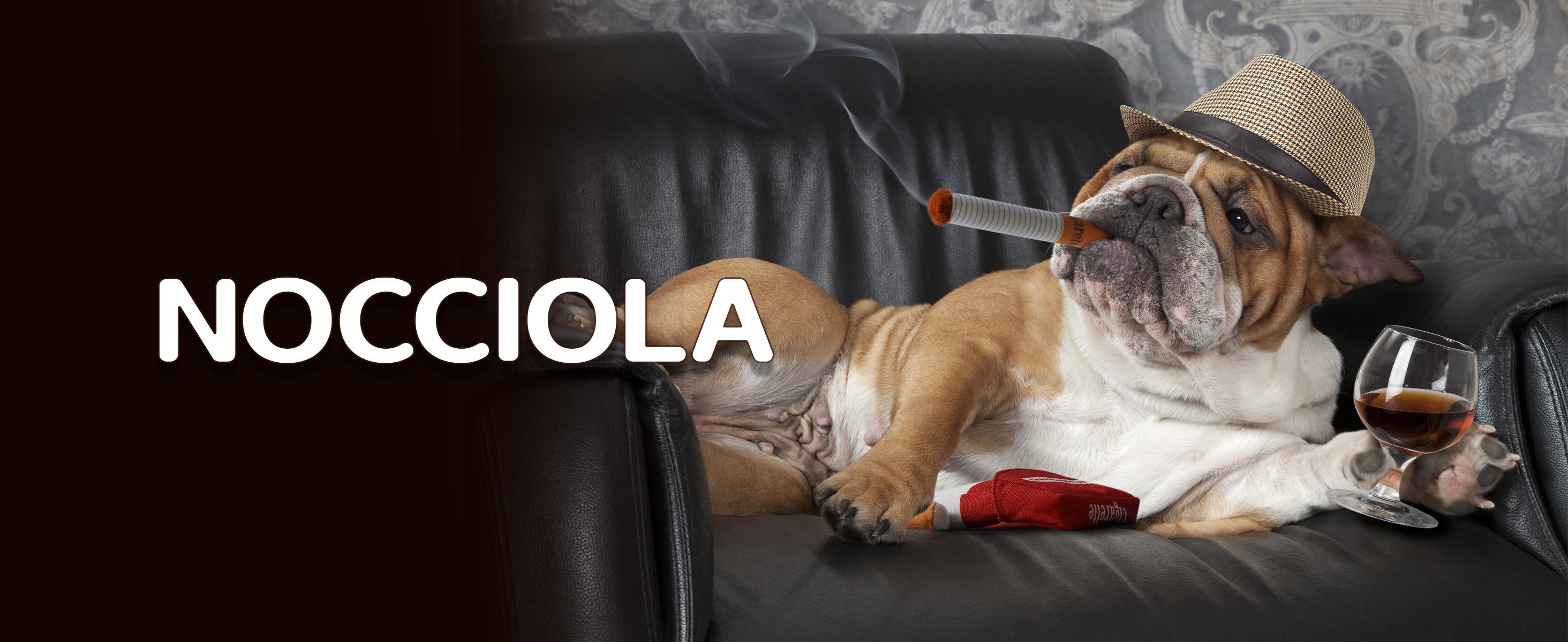 Prime Day Spotlight: Nocciola Dog Toys' Safe and Eco-Friendly New Releases for Your Pet’s Mental and Physical Health