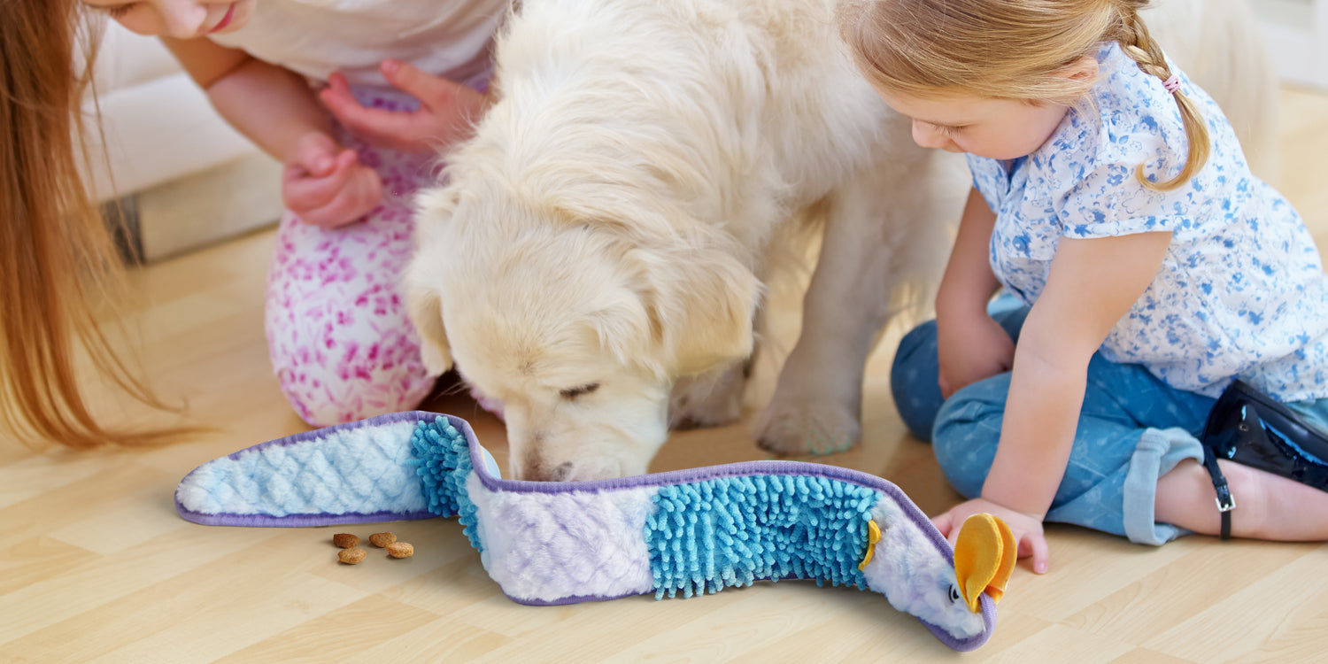 Training Tips Using Nocciola Toys