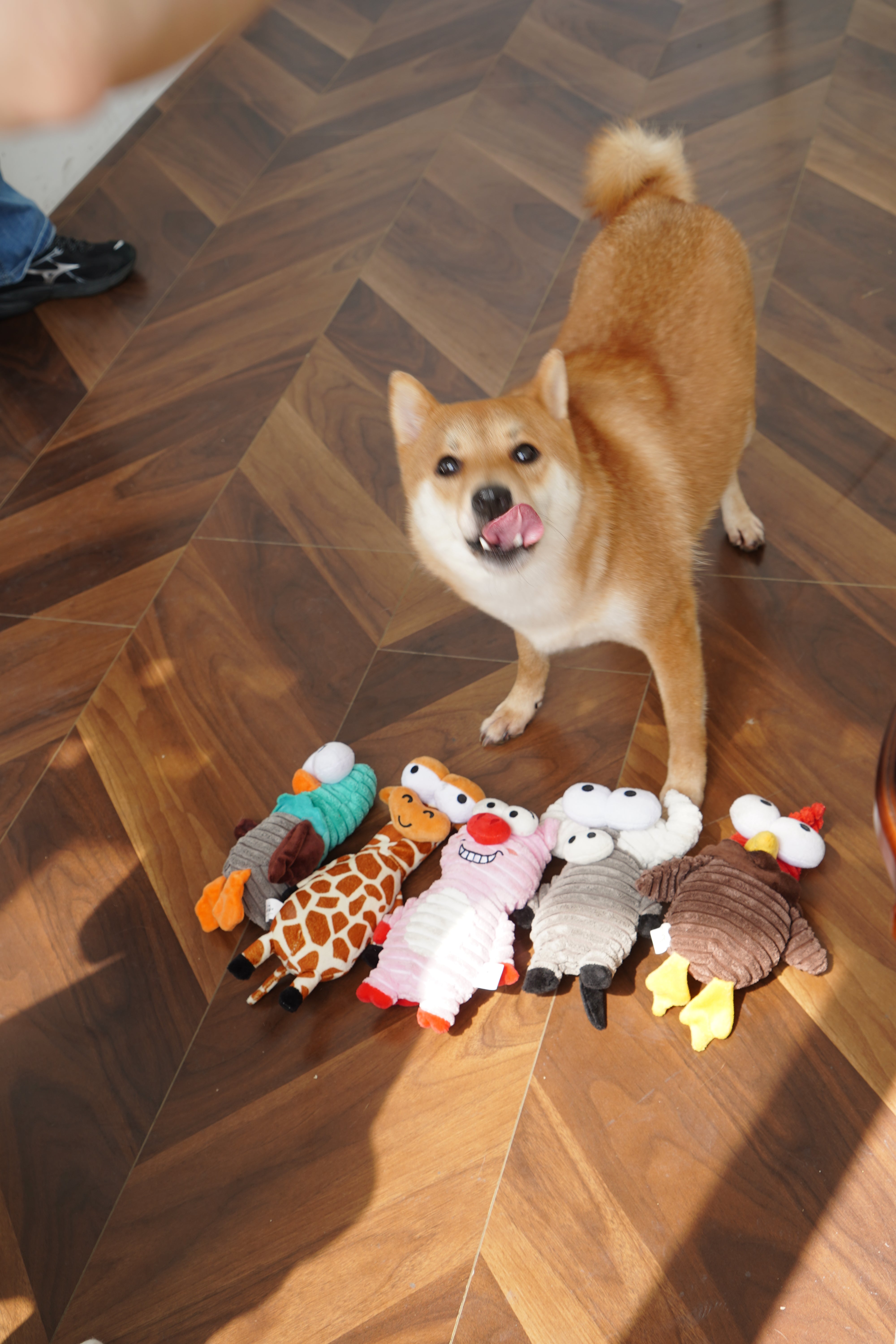 Join Nocciola’s Free Sample Review Program on Instagram!