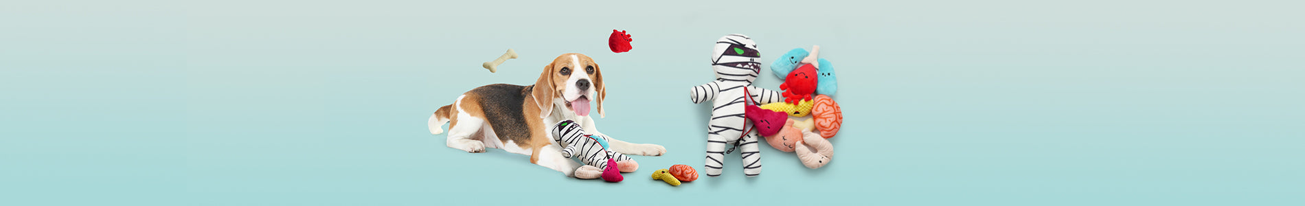 Stuffing Dog Toys collection featuring a dog playing with colorful stuffed squeaky toys.