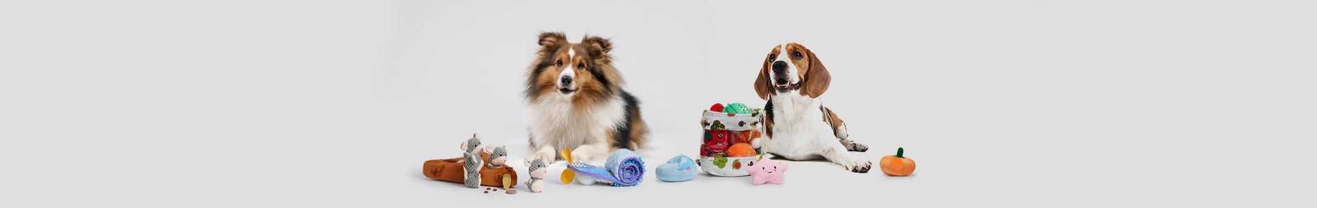 Medium Dogs playing with durable toys that withstand moderate chewing and provide entertainment.