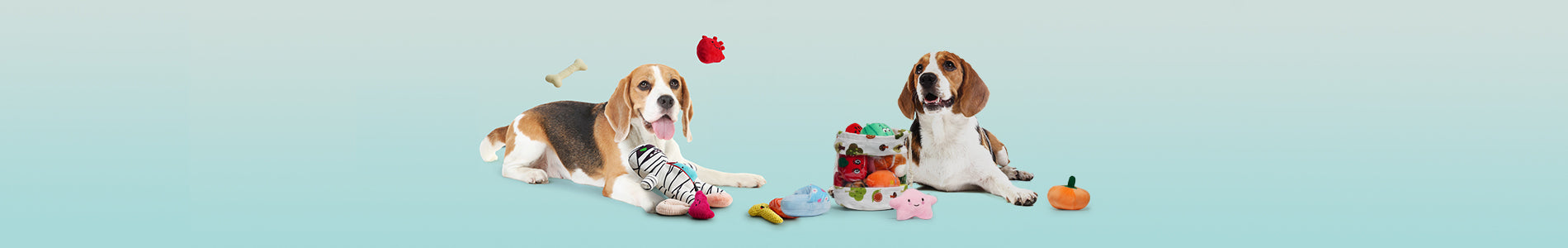 Best of Nocciola featuring playful beagle dogs with their favorite toys.