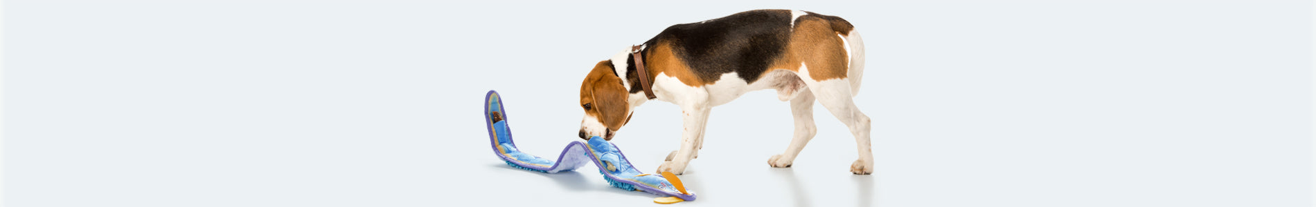 Snuffle Dog Toys
