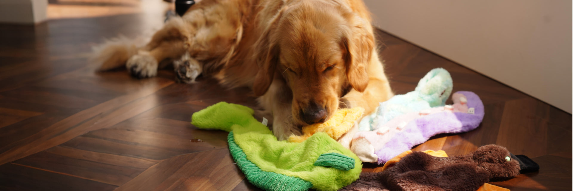 Golden retriever enjoying plush toys on the floor, showcasing vibrant colors and durability of Plush Toys.