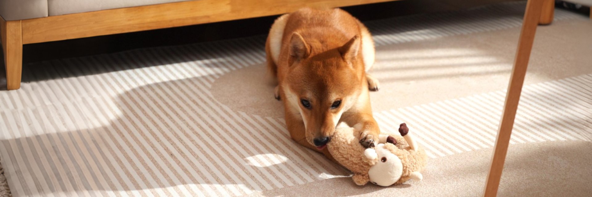 A dog enjoys playing with a chew-proof toy from the Tough Toys collection on a playful rug.