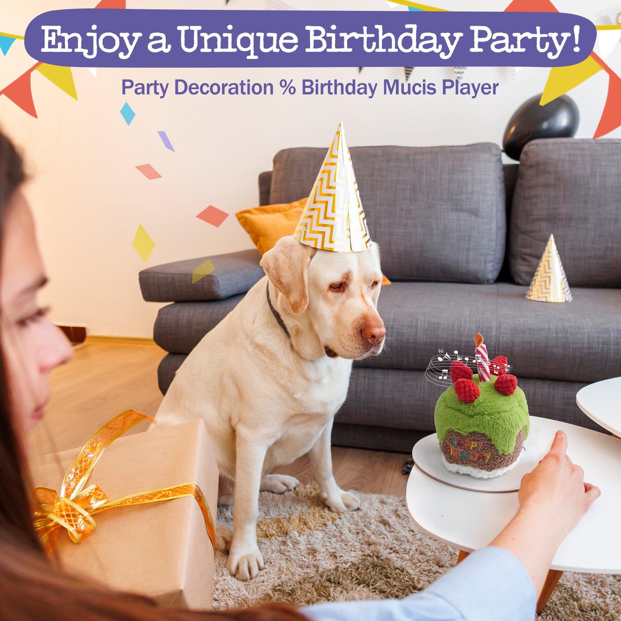 Dog Happy Birthday Cake Singing Toy