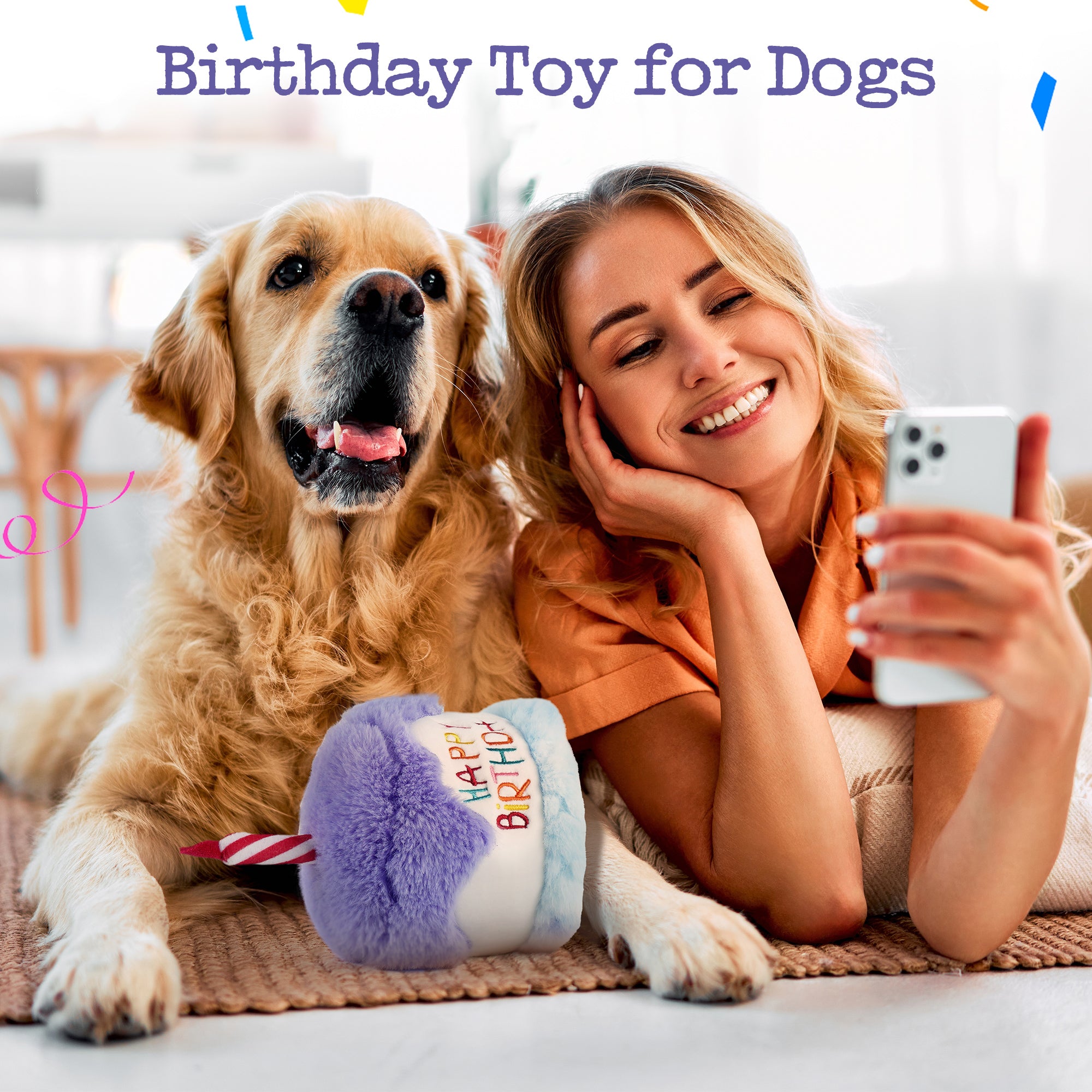 Dog Squeaky Birthday Cake Toy