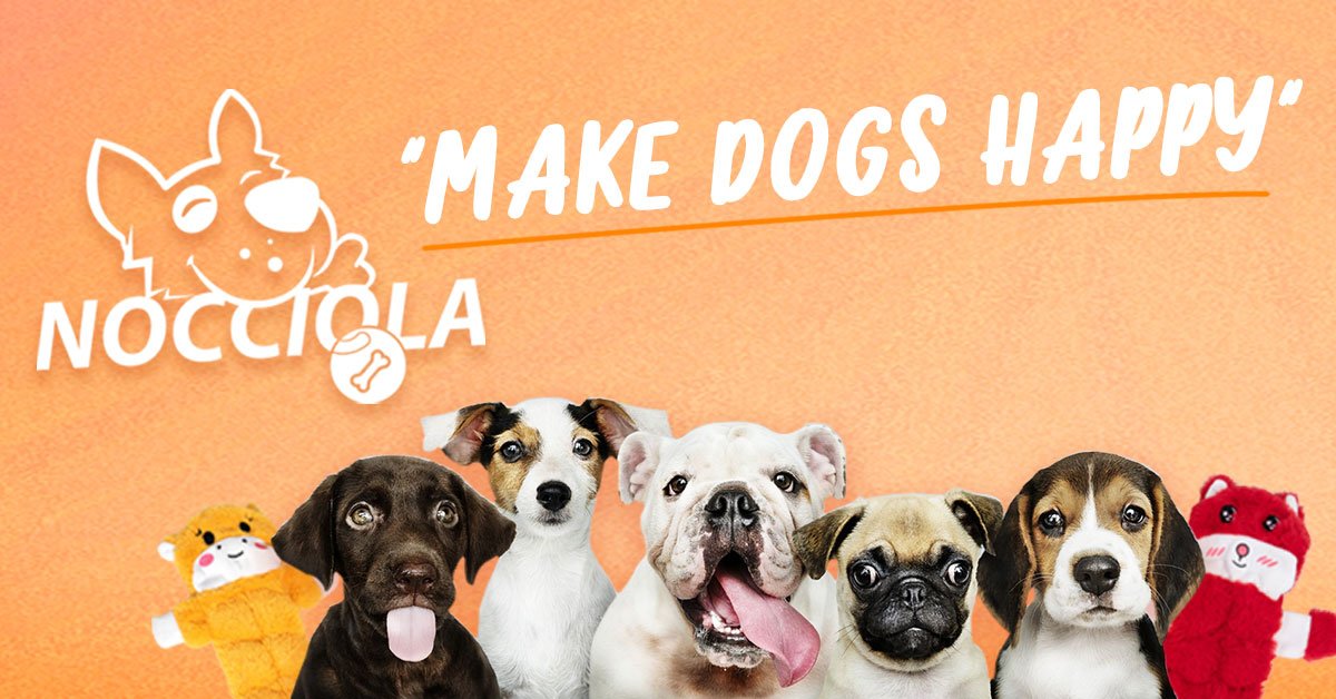 Nocciola Toys -- Enrichment Play for Pets