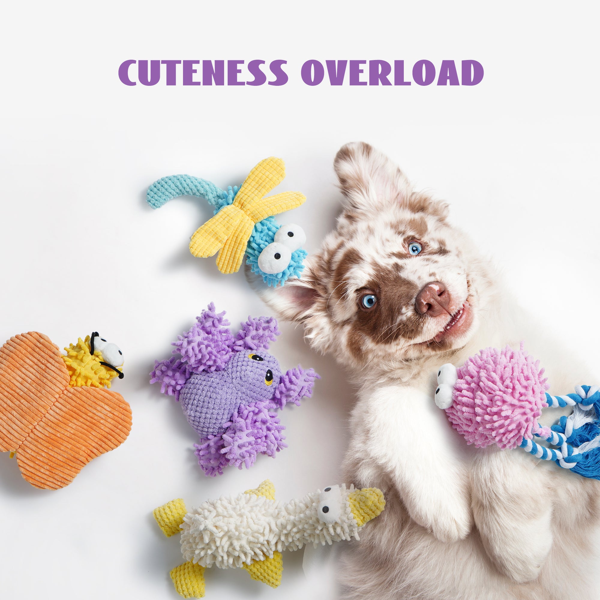 Nocciola 5 Packs Chenille Fabric Squeaky Dog Toys