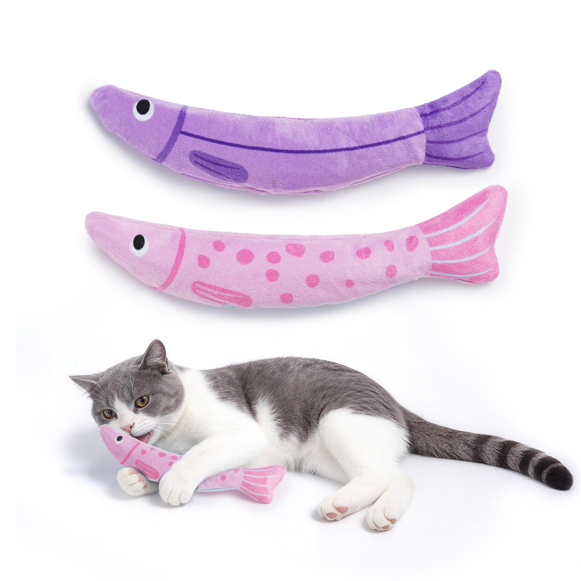 2 Pack Extra Large Cat Toys for Indoor Cats