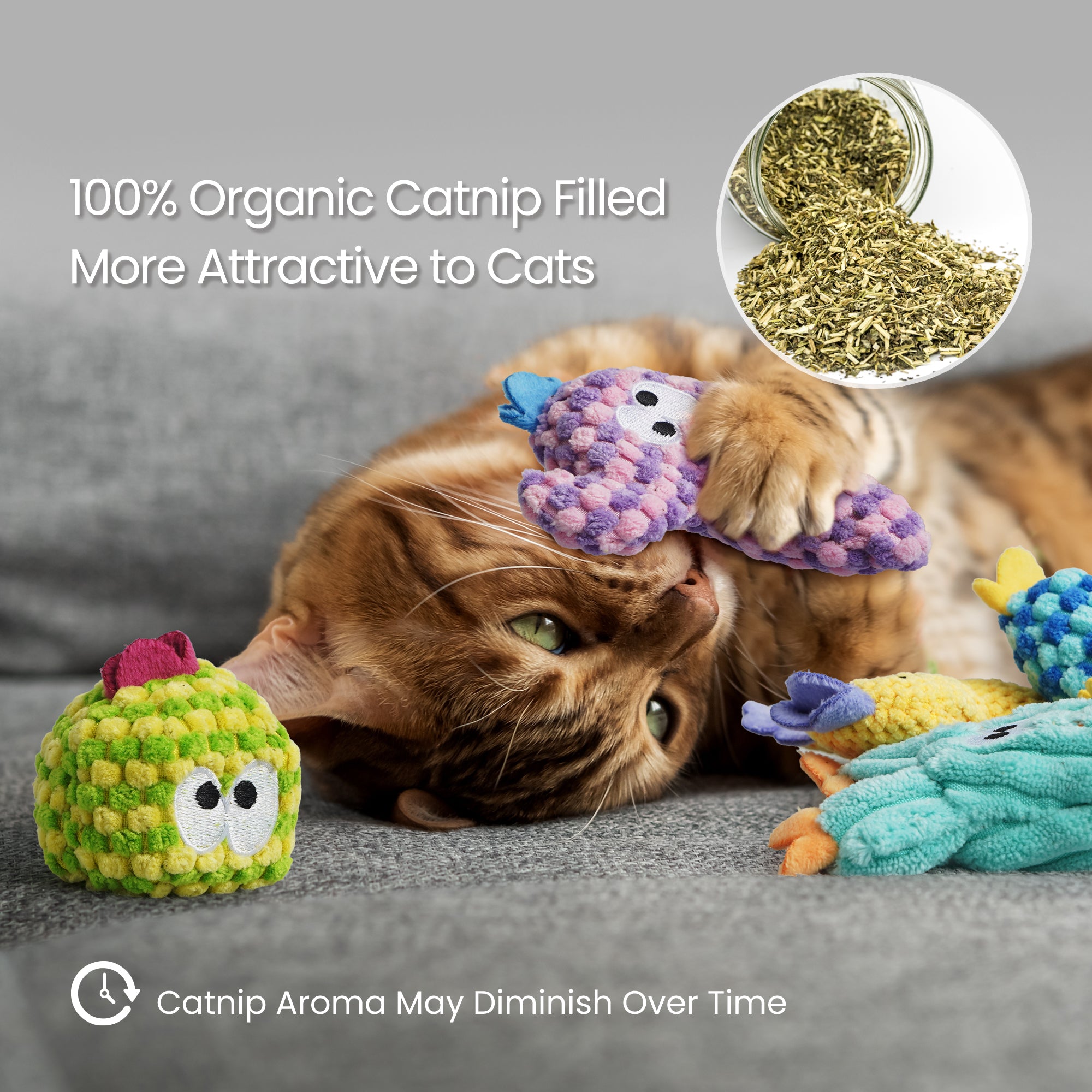 5 Pack Cactus Catnip Toys