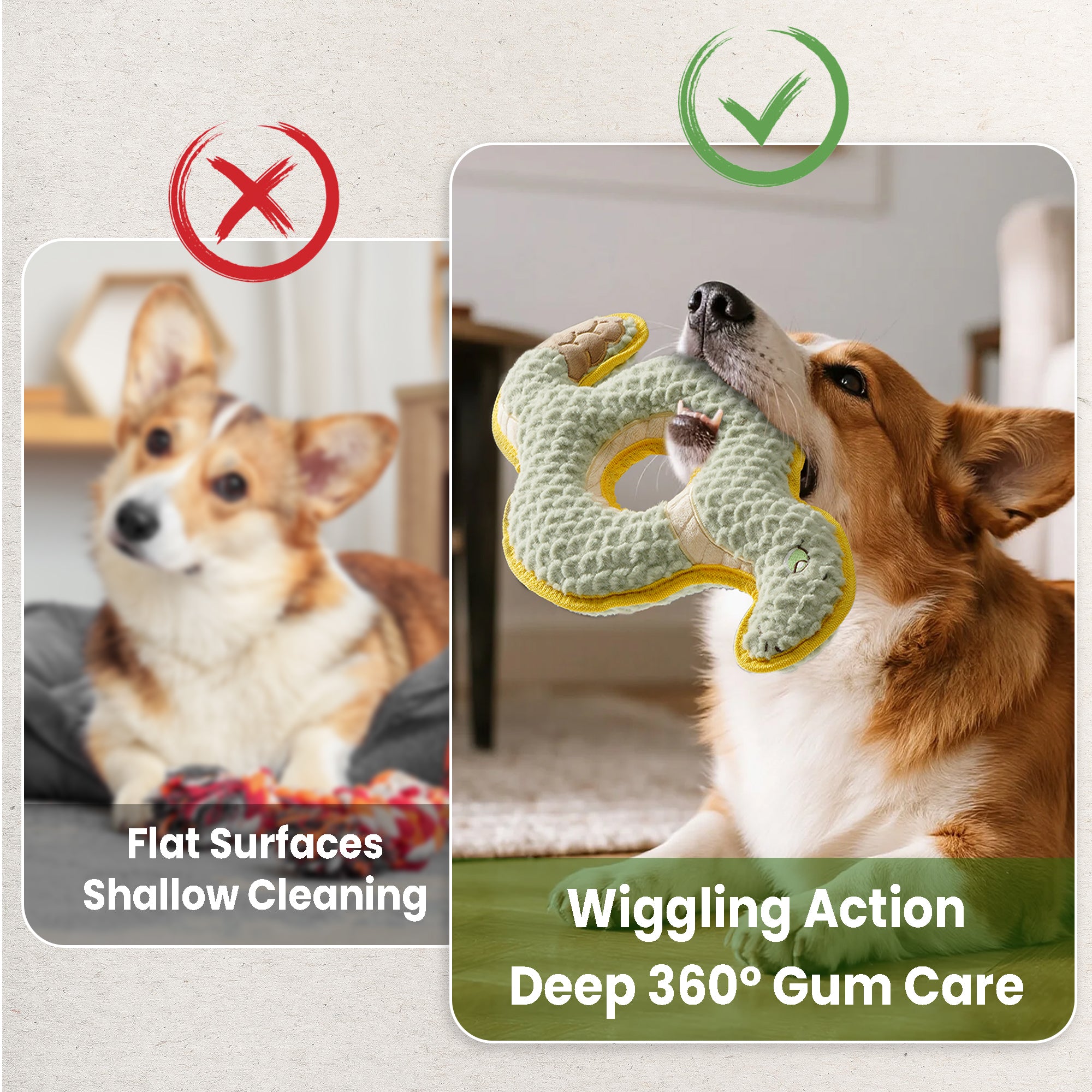 Ring Snake Squeaky Dog Toy