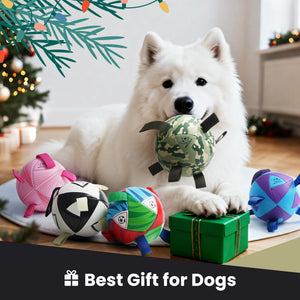 Nocciola Magic Pup Soccer Ball with Straps Dog Toy - In Use | Nocciola Pet Toys