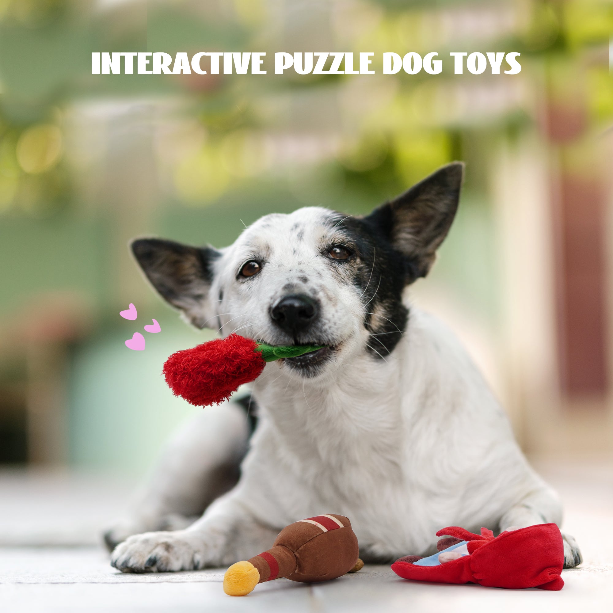 Nocciola Fairy Tale Squeaky Dog Toys