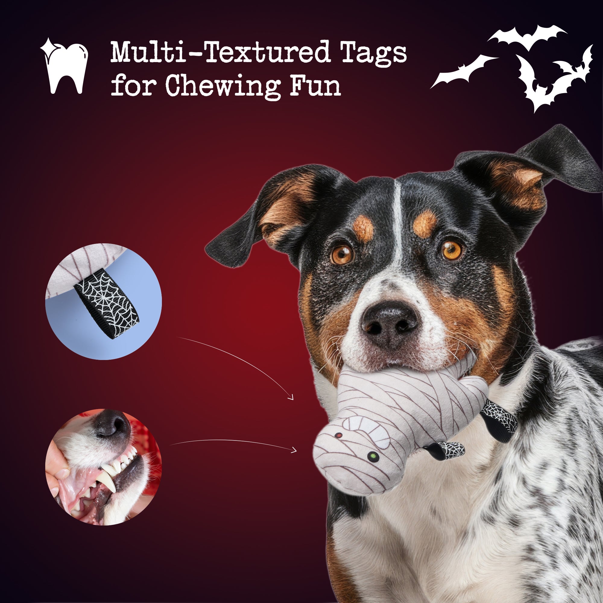 10 PCS Halloween Dog Toys Bargain Bundle