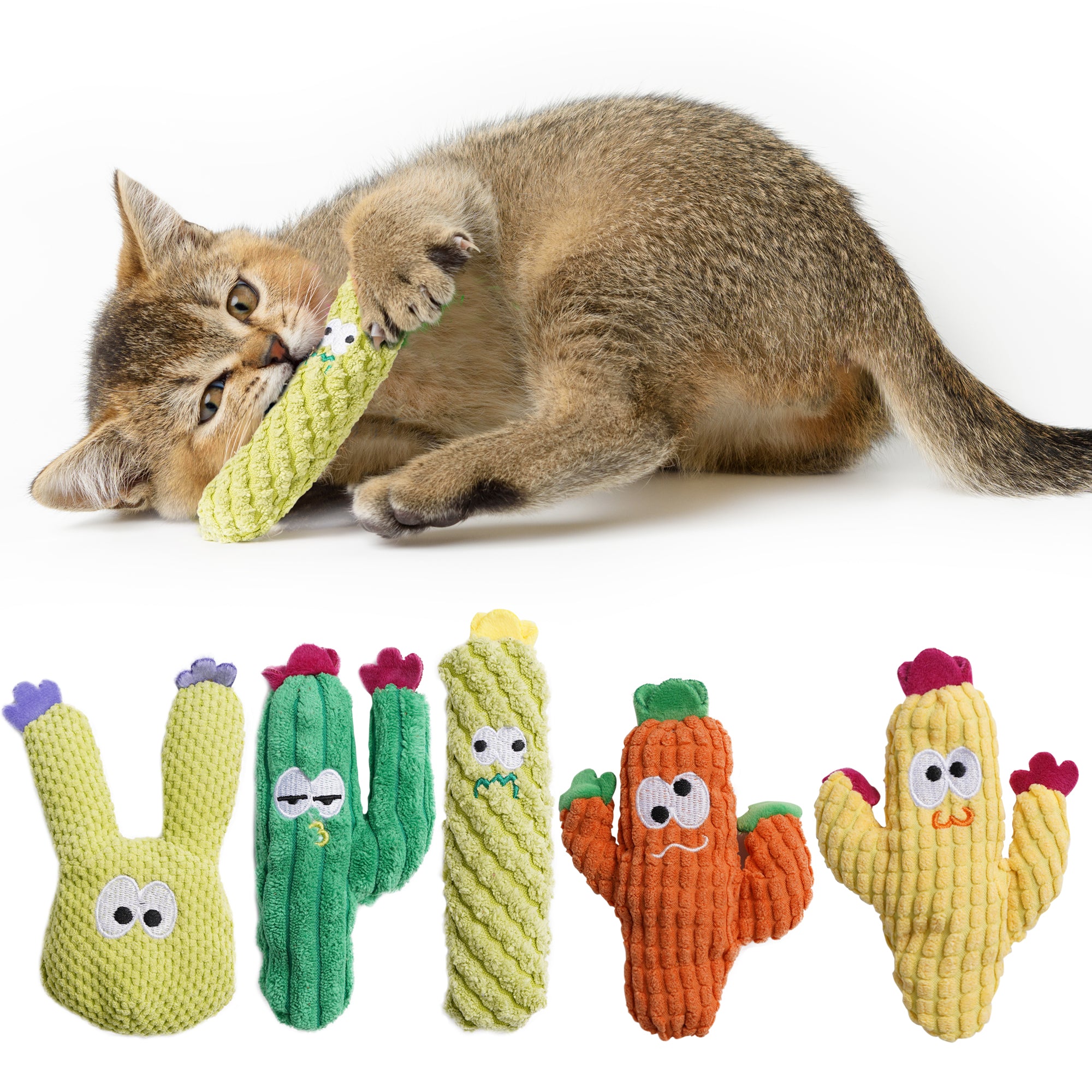 5 Pack Cactus Catnip Toys