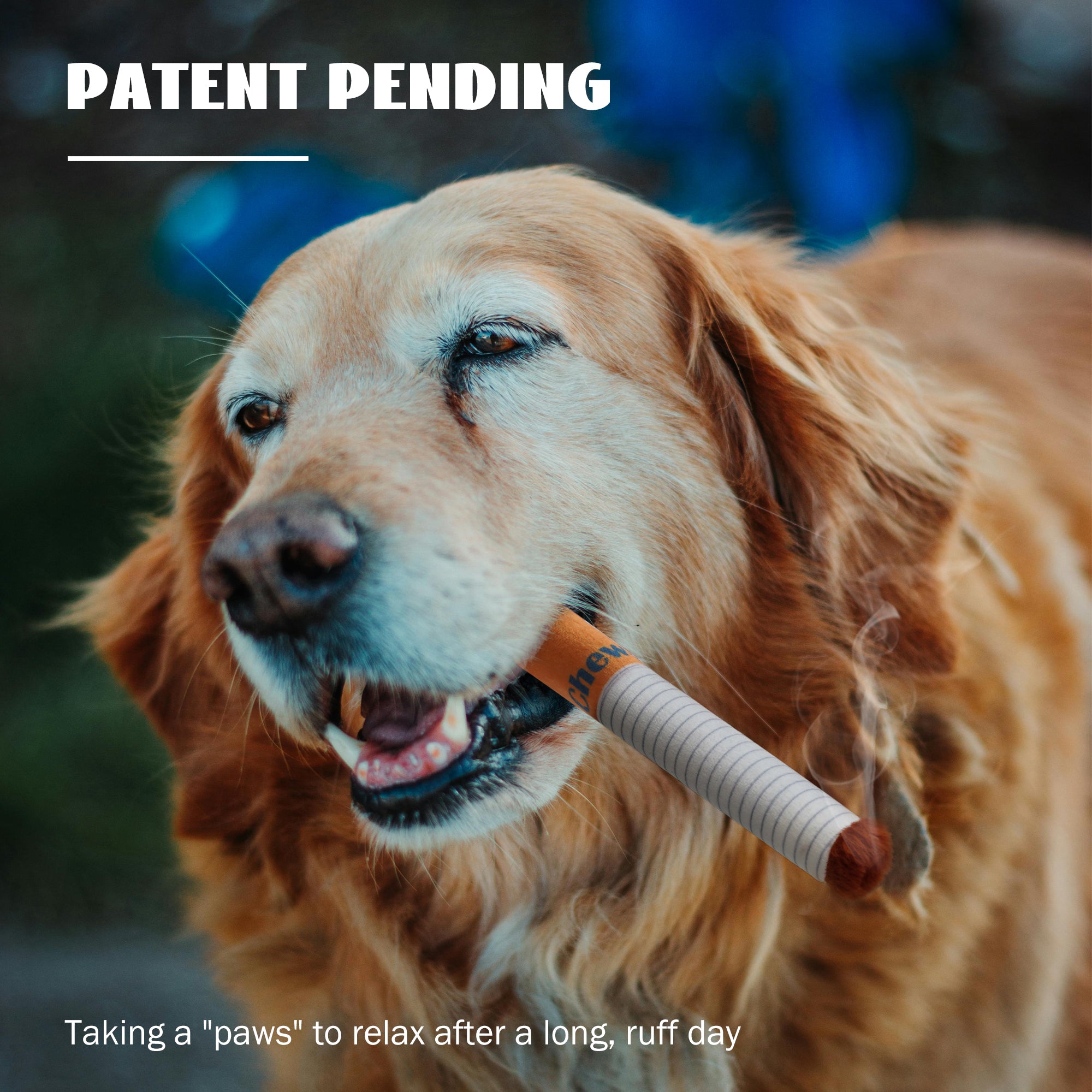 Nocciola Giggle Sounds Chewport Puff Stick Toys