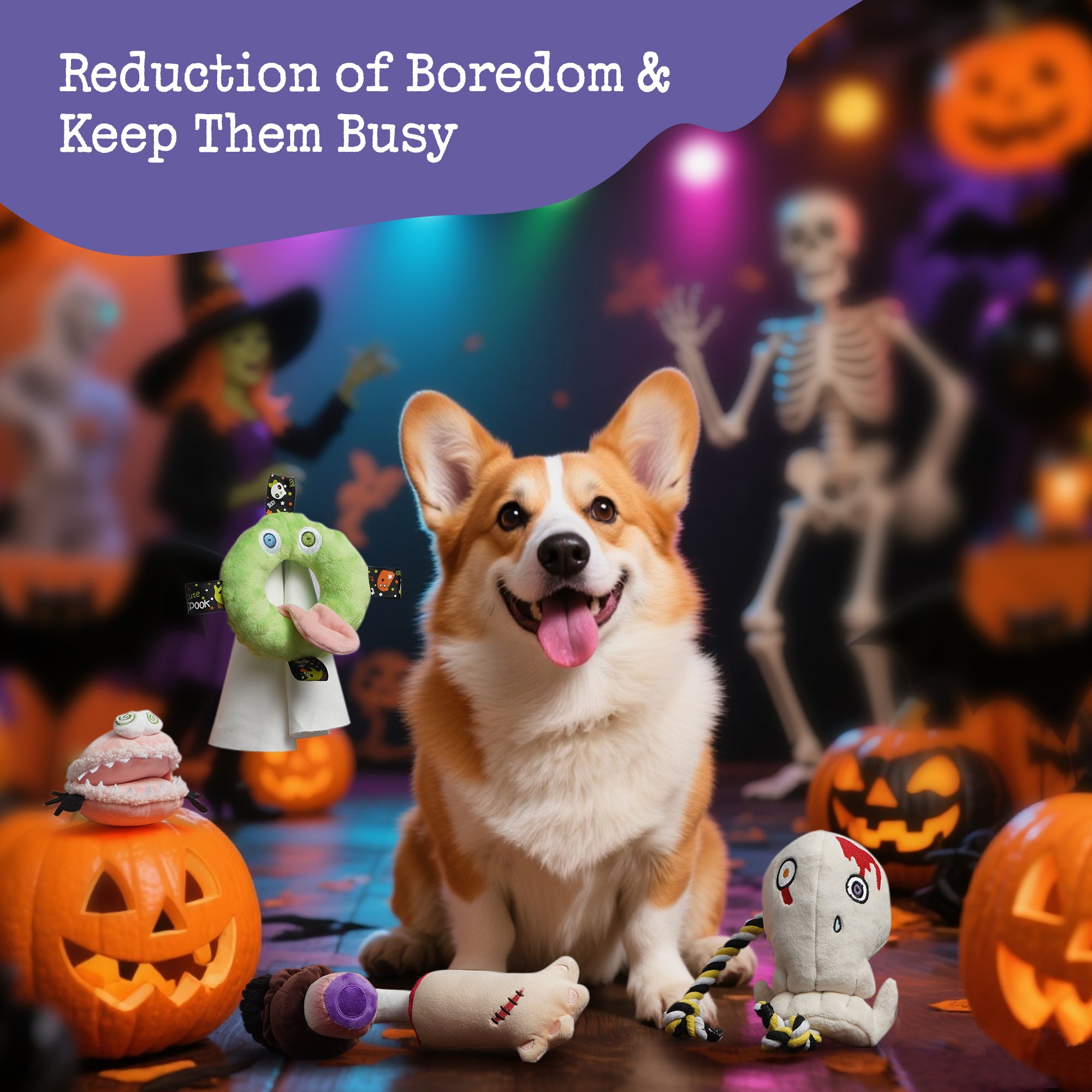 5 PCS Spooky Halloween Dog Squeaky Toys