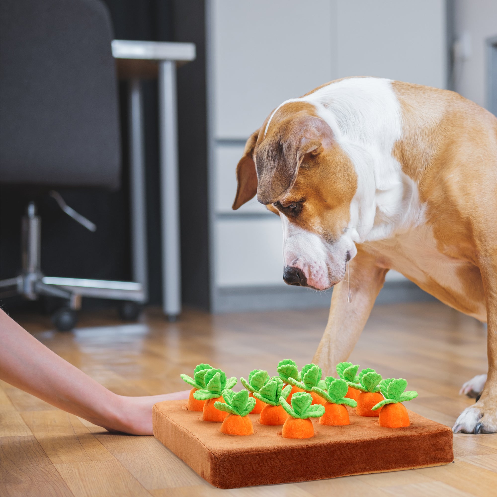 Nocciola Food Dispensing Carrot Farm Enrichment Toy