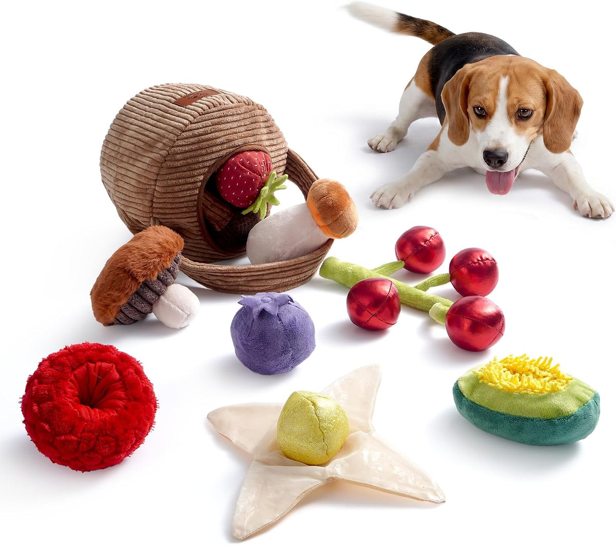 Nocciola 10 Pack Fruit Harvest Dog Snuffle Toys