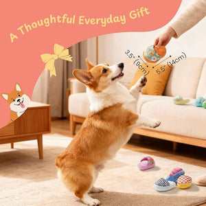 Nocciola 10 Pack Slipper Dog Toys featuring a playful dog enjoying plush slipper-style toys.
