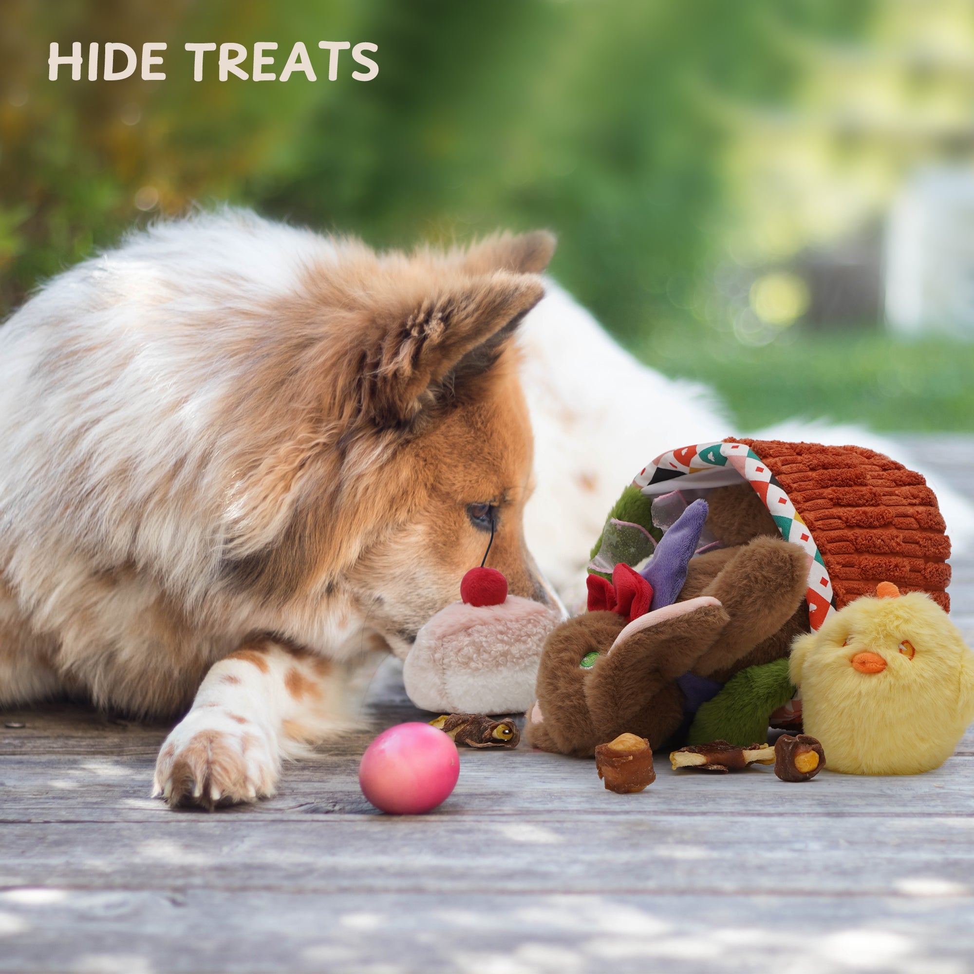 Nocciola 5 Pack Easter Dog Toys with a Basket