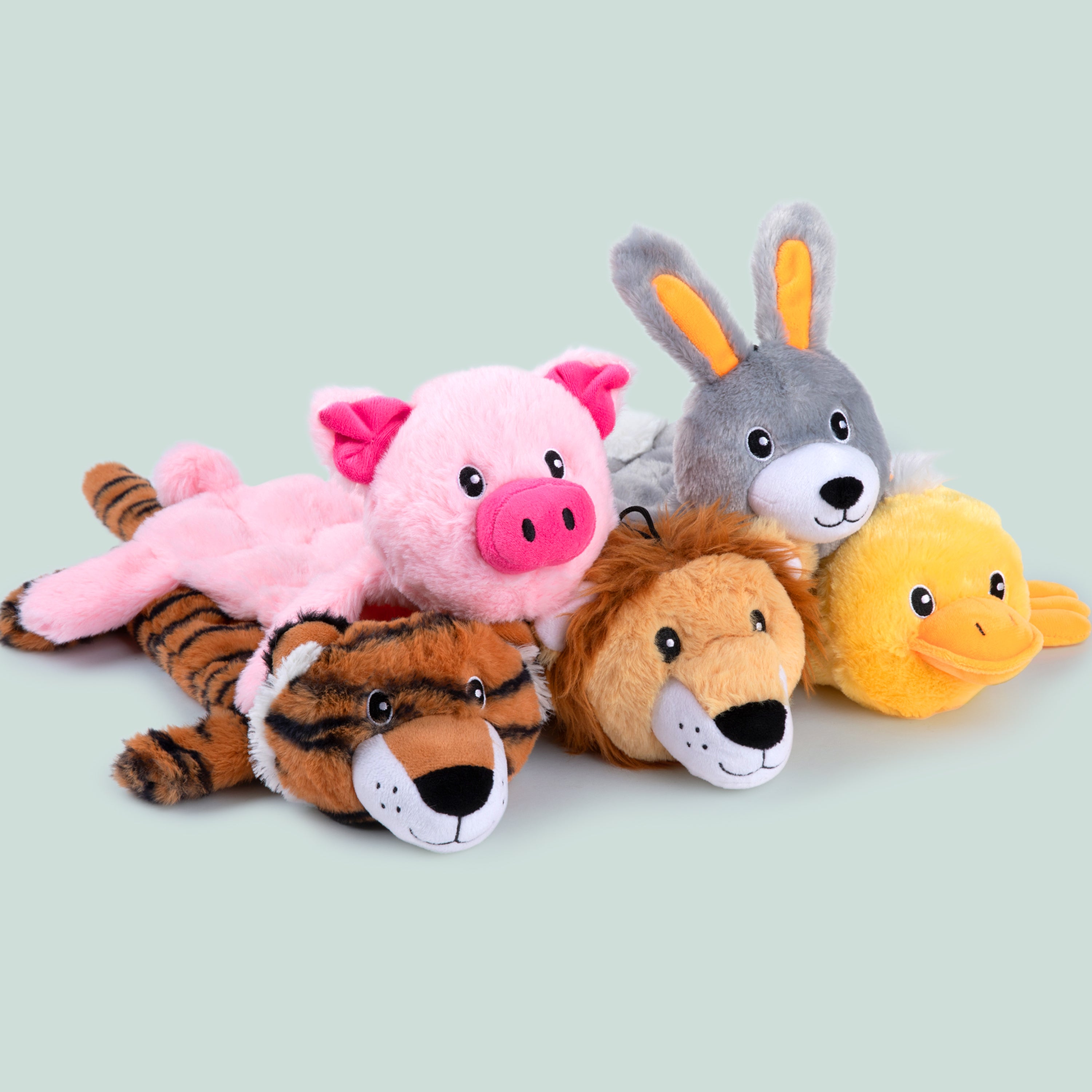 Nocciola 5 PCS 3D Dog Squeaky Toys