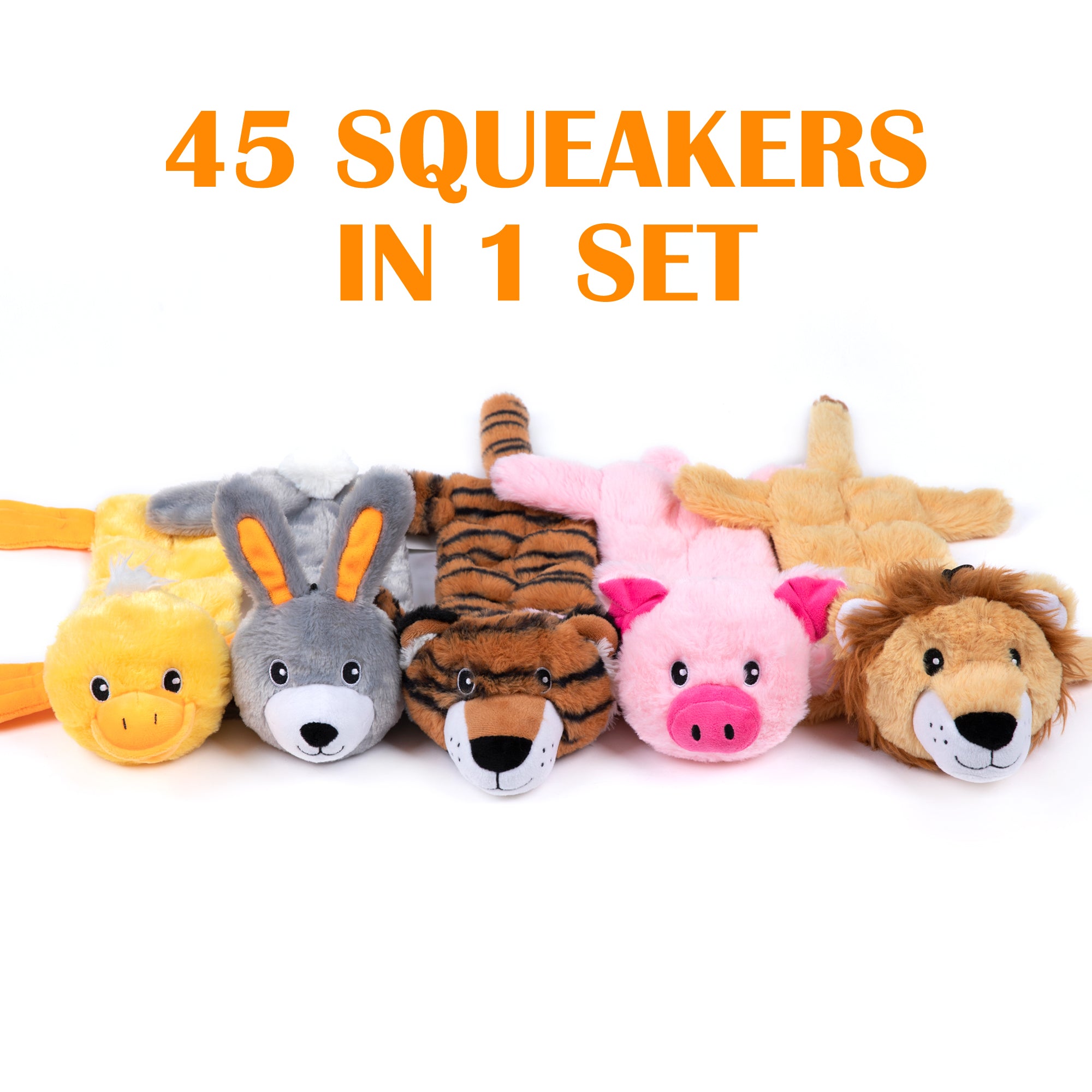 Nocciola 5 PCS 3D Dog Squeaky Toys