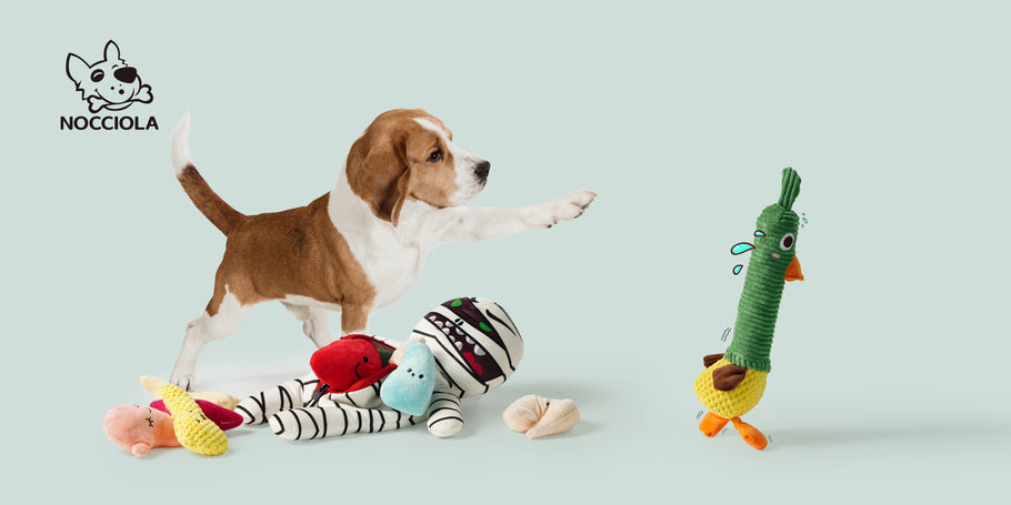 Choosing Eco-Friendly Toys for Your Pup: Why It Matters