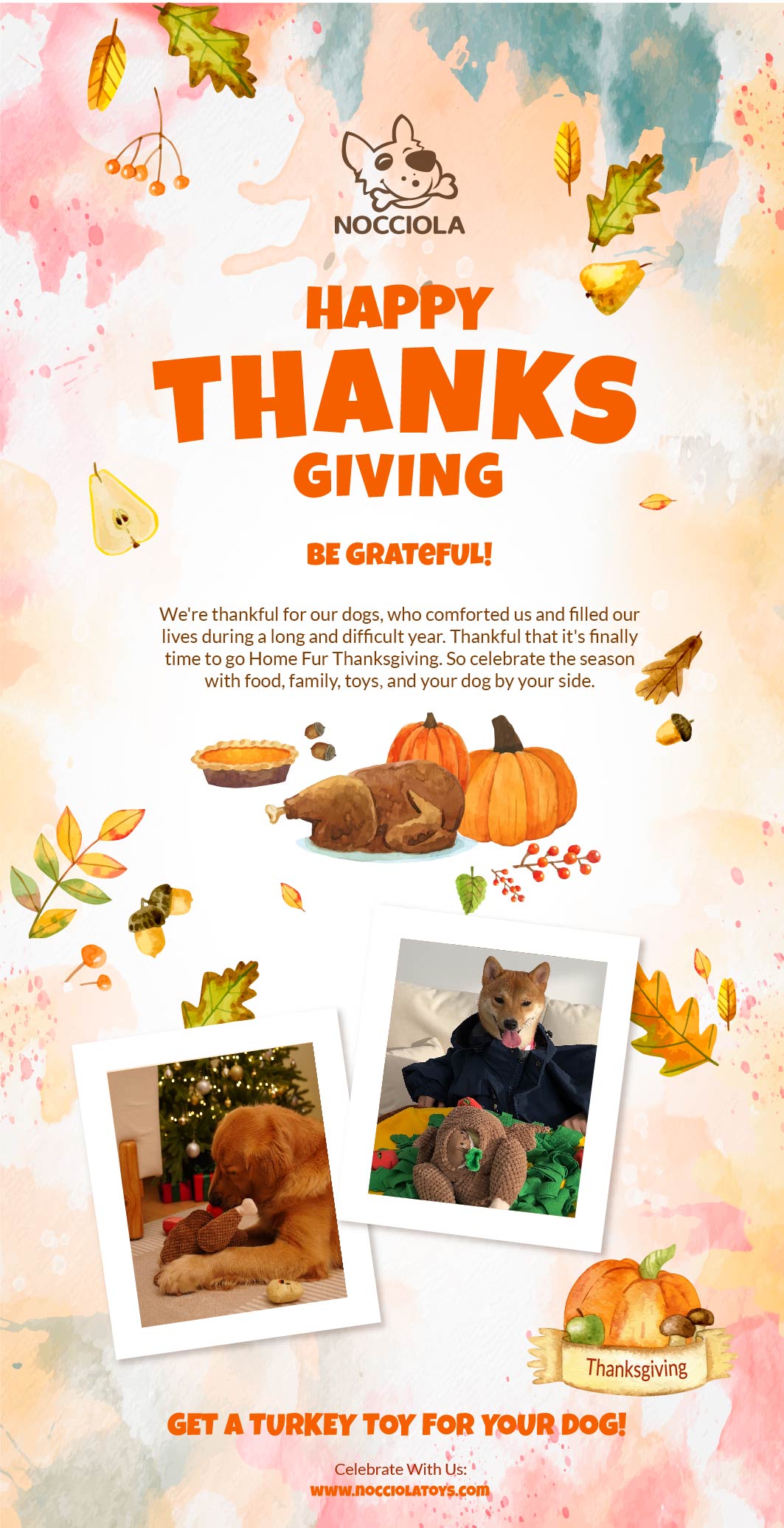 Happy Thanksgiving promotional image with turkey, autumn leaves, and dogs celebrating the holiday.