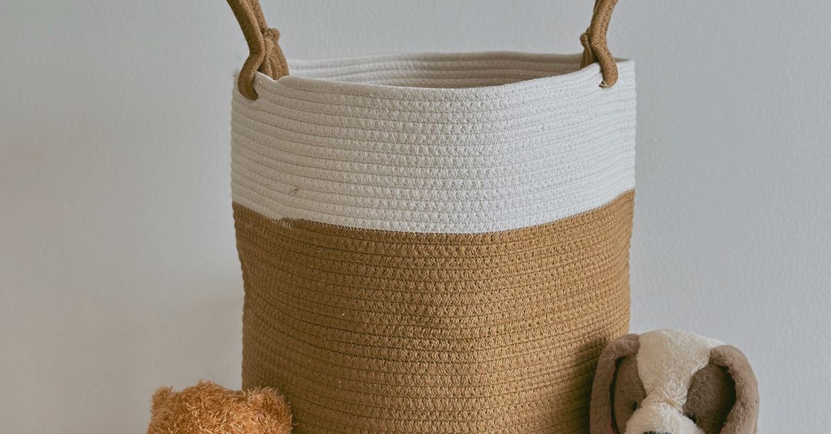 Why Your Dog Gets Bored With Toys and How a Toy Rotation Can Help
