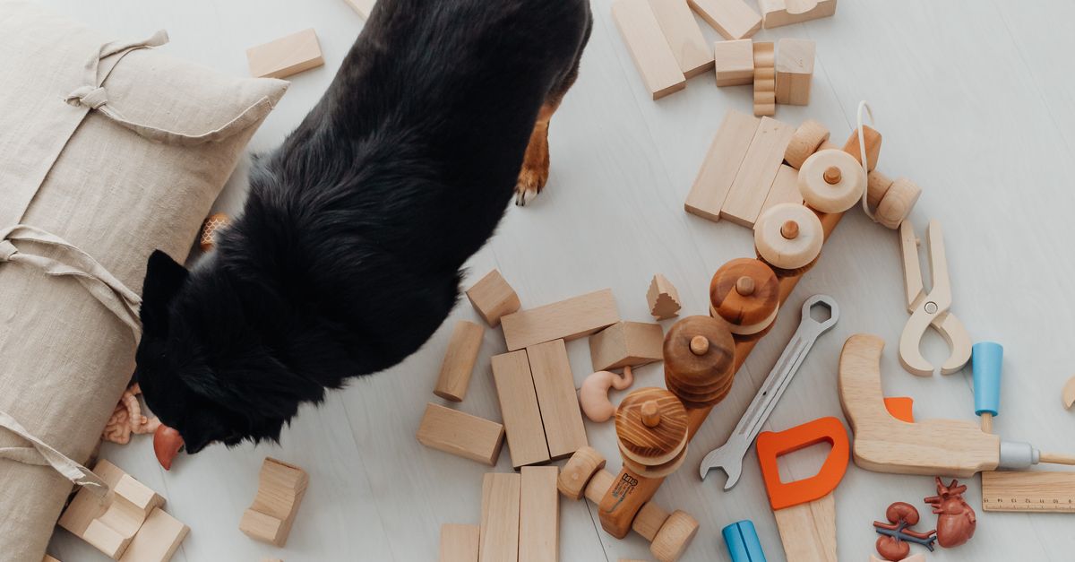 Is Your Dog’s Puzzle Toy Too Hard? How to Find the Right Challenge