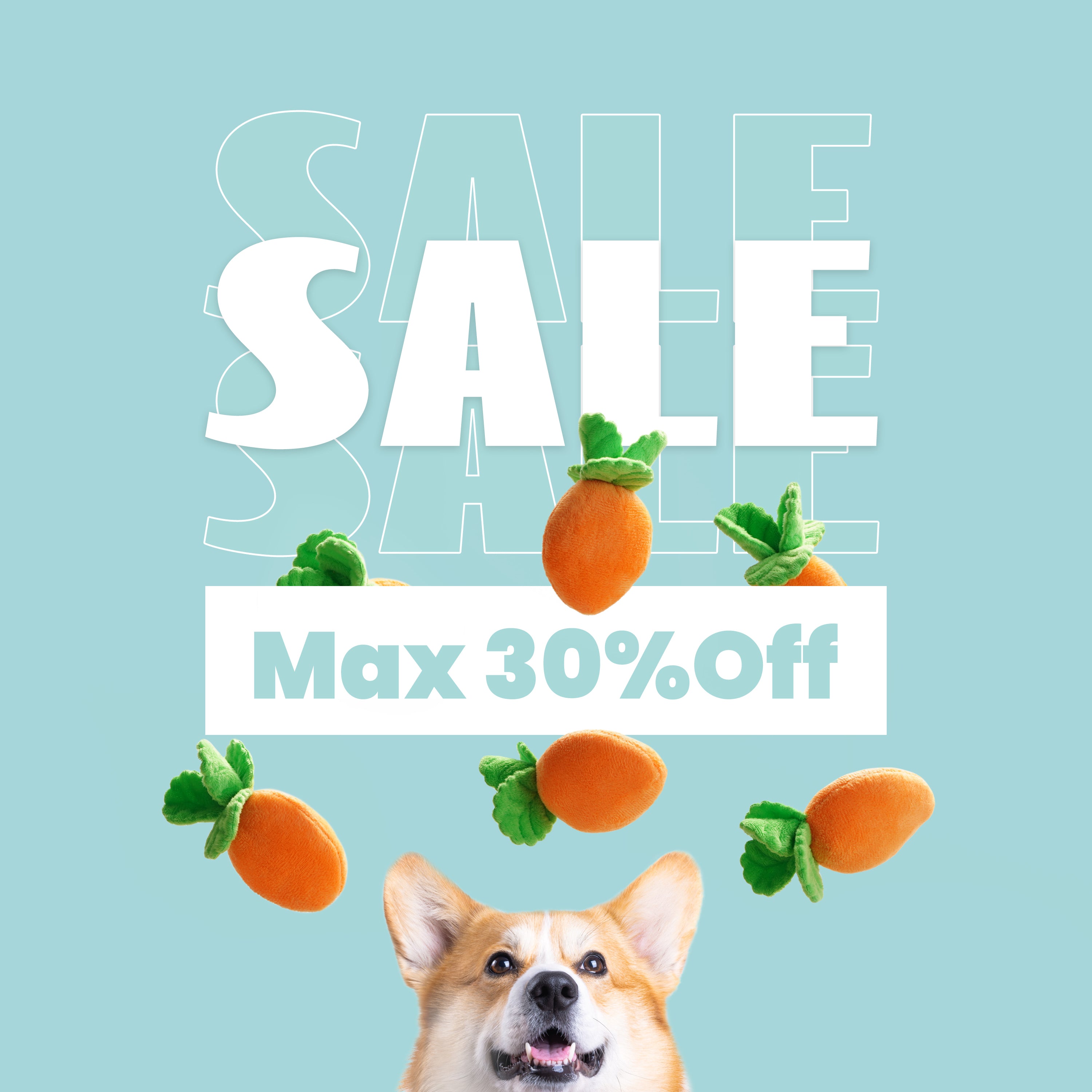 SALE | MAX to 30% Off