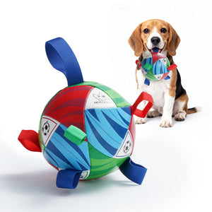 Nocciola Magic Pup Soccer Ball with Straps Dog Toy - Lifestyle | Nocciola Pet Toys