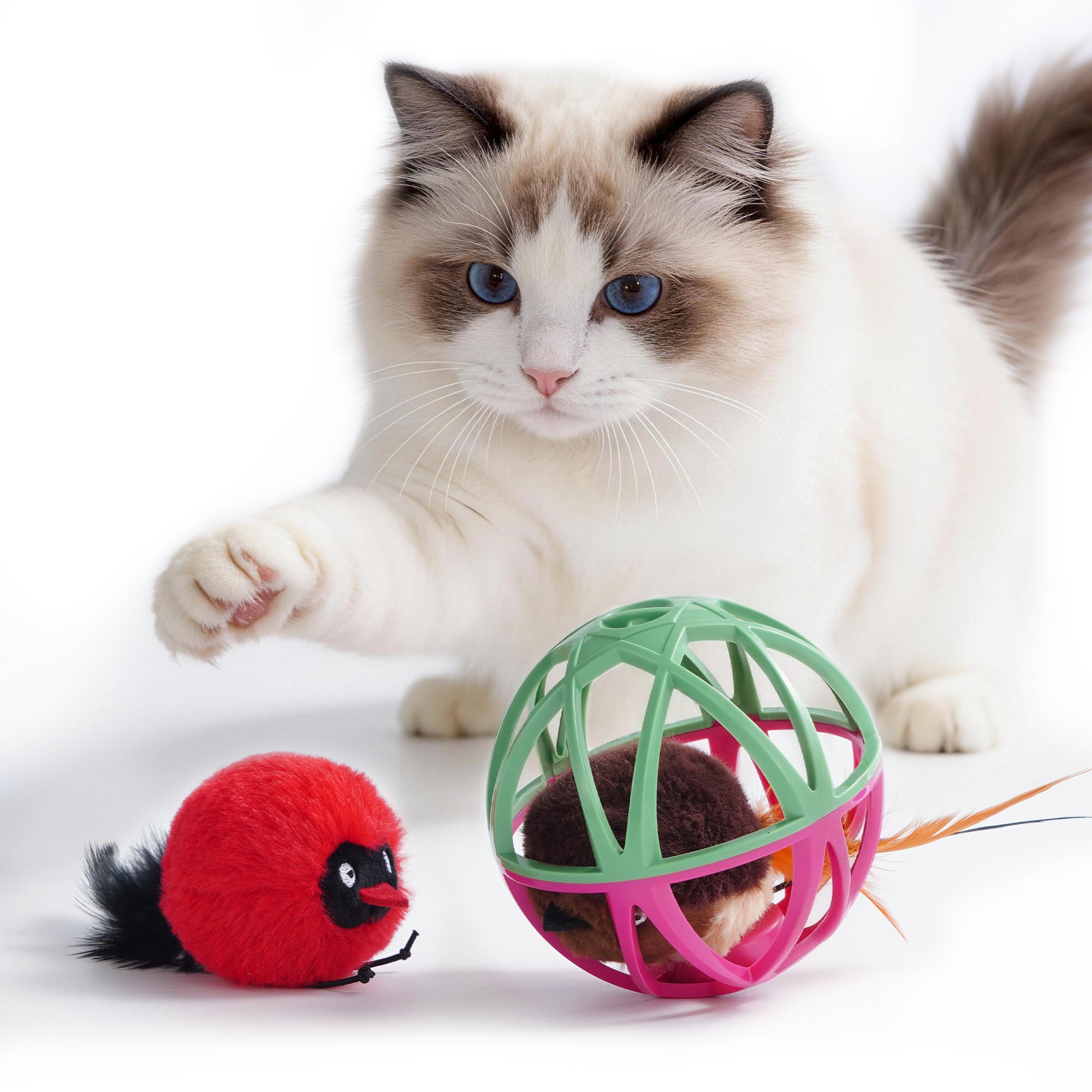 Interactive Ball Cage Cat Toy with Realistic Bird Sounds