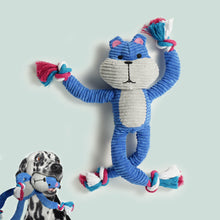 Load image into Gallery viewer, Nocciola Durable Dog Toy, Ideal for Small to Medium Dogs, Interactive with Crinkle and Squeaky Features
