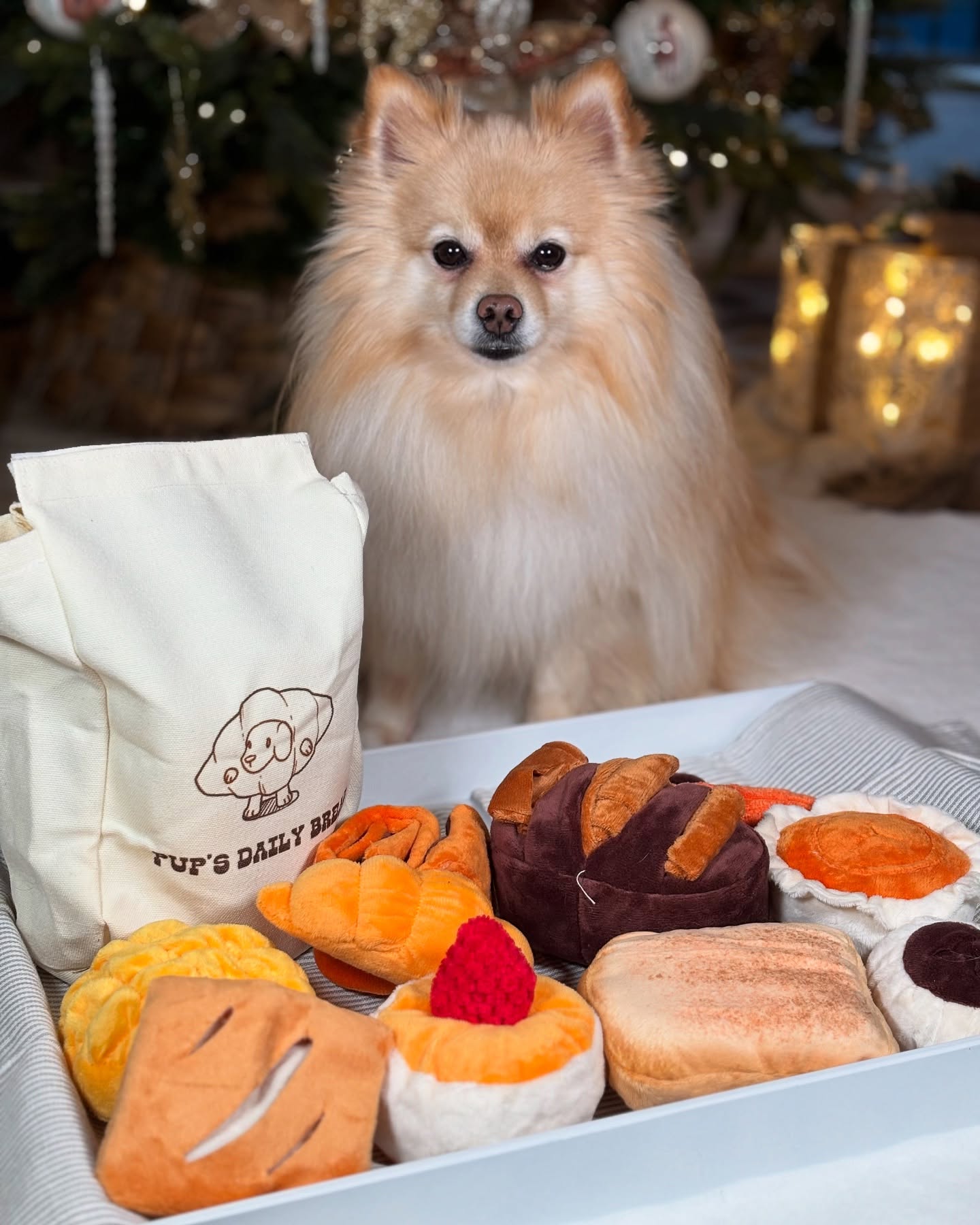 Dog toys with squeakers Nocciola 10 Pack Bread Dog Toys – Nocciola.fun
