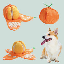 Load image into Gallery viewer, Nocciola Orange Hide and Seek Plush Dog Toys
