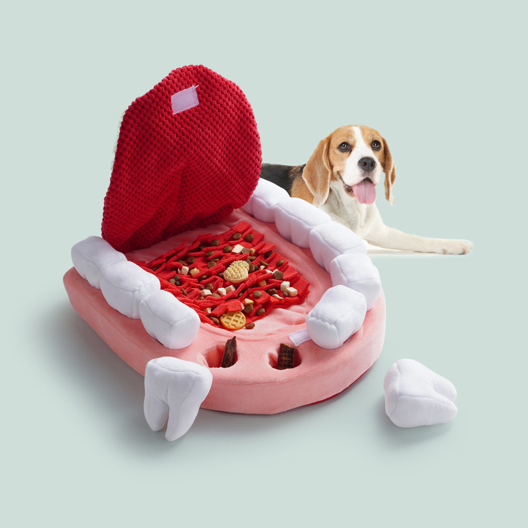 Nocciola インタラクティブ歯犬用おもちゃ – 小型犬から大型犬まで楽しめるエンリッチメントパズルおもちゃ