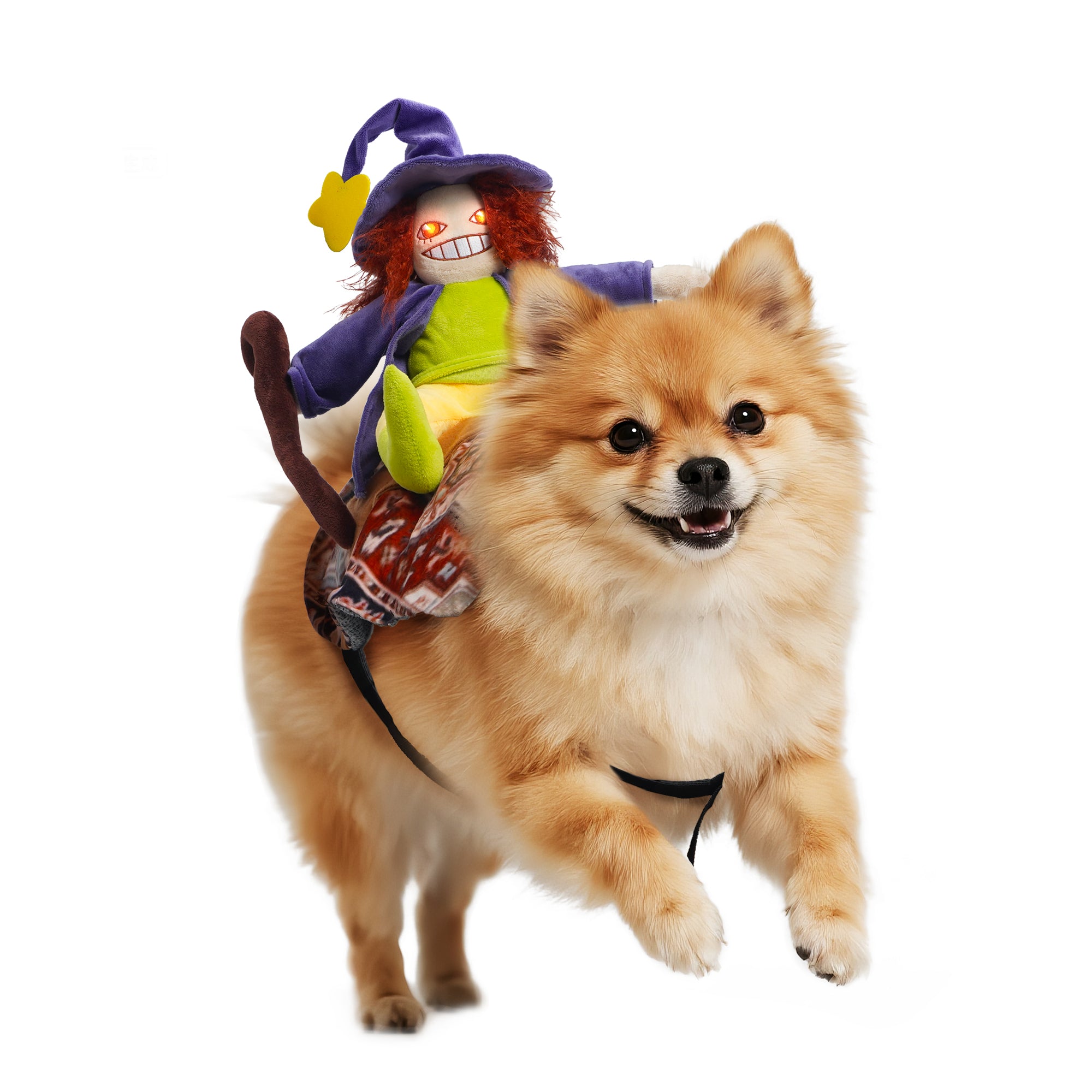 Witch Riding Dog Halloween Costume