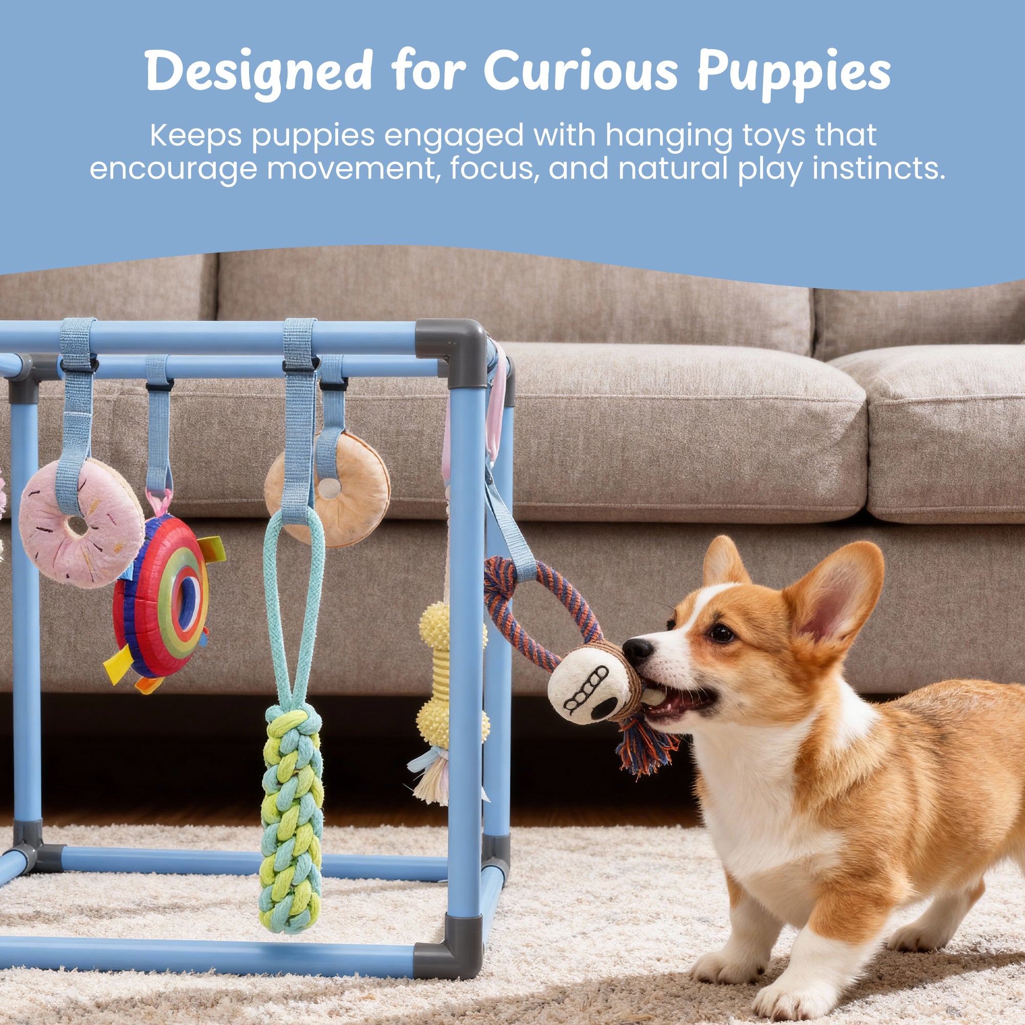 Nocciola Play Gym Enrichment Dog Toy