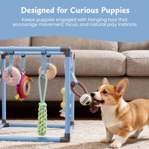 Nocciola Play Gym Enrichment Dog Toy - Lifestyle | Nocciola Pet Toys