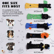Lade das Bild in den Galerie-Viewer, Nocciola 5 Stück Halloween-Quietschspielzeug für Hunde, Plüsch-Hundespielzeug ohne Füllung für Welpen, kleine, mittelgroße und große Hunde 
