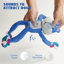 Load image into Gallery viewer, Nocciola Durable Dog Toy, Ideal for Small to Medium Dogs, Interactive with Crinkle and Squeaky Features
