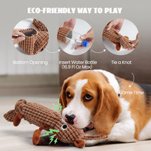 Load image into Gallery viewer, Nocciola 5PCS Water Bottle Dog Toys - Crinkle Squeaky Doy Toys
