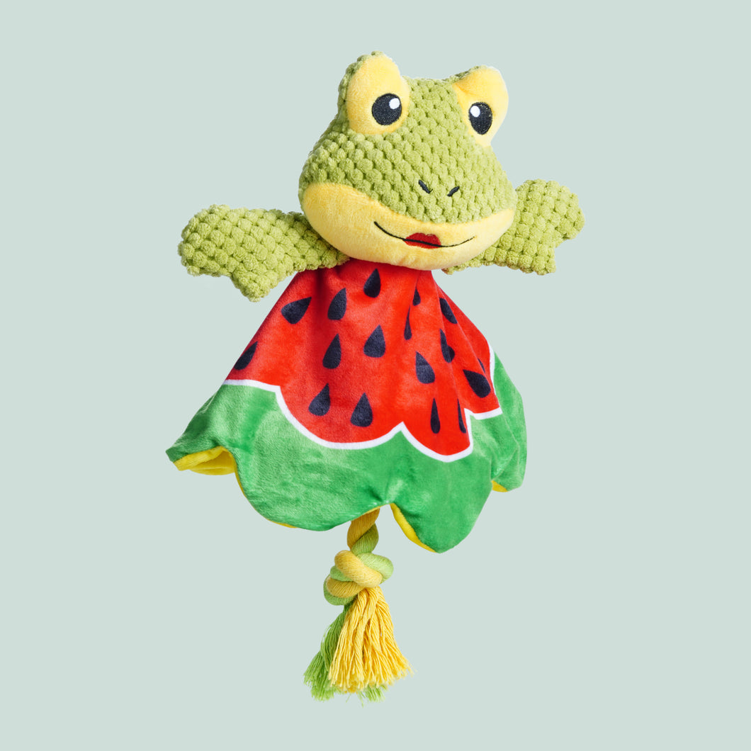 Frog Dog Squeaky Toys for Aggressive chewers