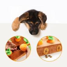 Load image into Gallery viewer, Nocciola Food Dispensing Carrot Farm Enrichment Toy
