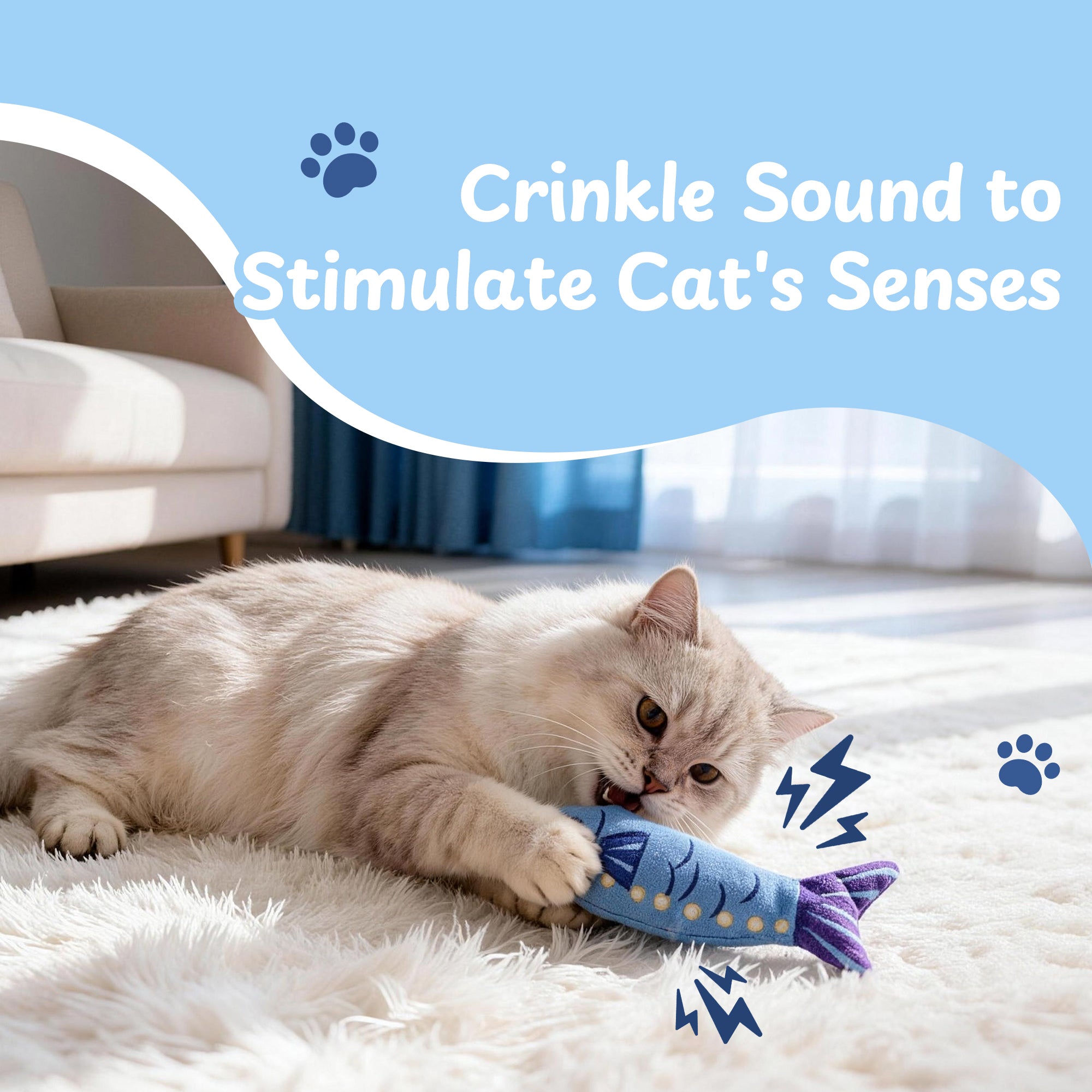 Sardine Can with 3 Fish Toys - Size Chart | Nocciola Pet Toys